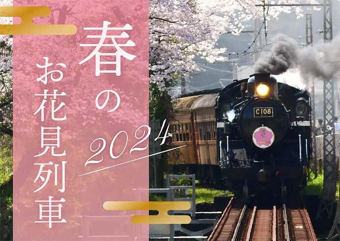 大井川鐵道，“SL急行さくら”号・“EL急行さくら”号を運転
