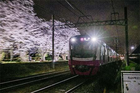 80000形とライトアップされた桜（2023年撮影）