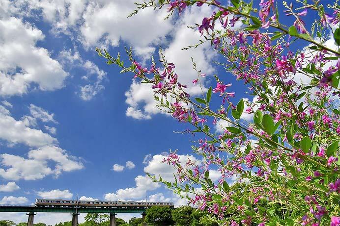 「第25回 鉄道のある風景写真コンテスト」作品募集