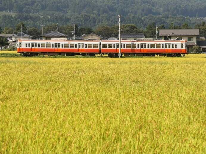 アルピコ交通,モハ3003号車+クハ3004号車(モハ10形リバイバルカラー)の定期運行を3月9日に終了