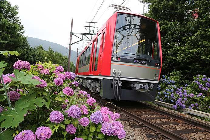 箱根登山電車で夜のあじさい号を運転