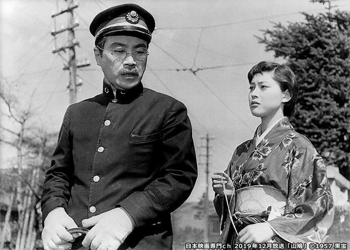 「山鳩」