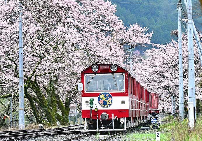 「2025年 井川線カレンダー」発売