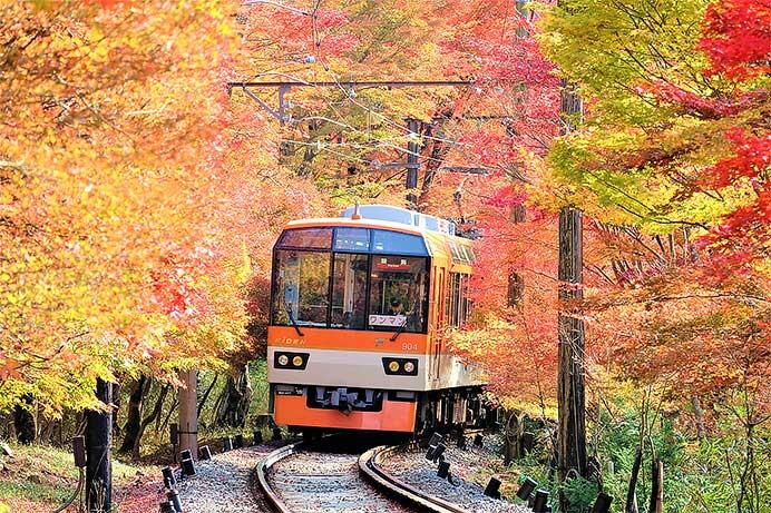 叡山電鉄，11月1日から24日にかけて「秋ダイヤ」を実施