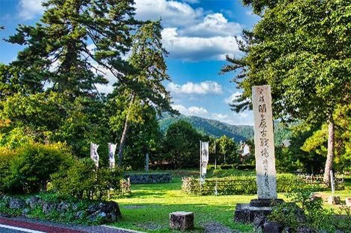 東急・JR東海，「THE ROYAL EXPRESS～TOKAIDO FUJI CRUISE TRAIN～」2026年春の運行計画を発表