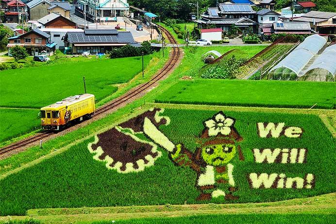 明知鉄道沿線の「田んぼアート」が見ごろを迎える